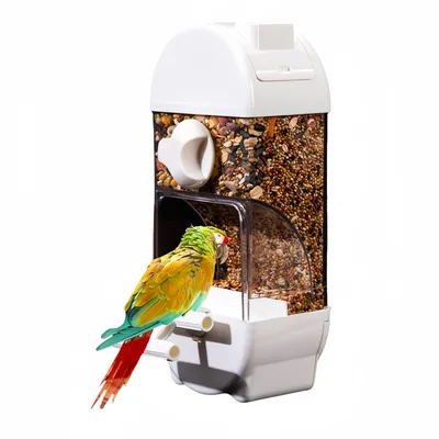FurryFusion Mangeoire automatique pour oiseaux 800 ml