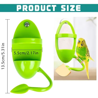 ZooVenture Lot Quatre Mangeoires En Os De Seiche Pour Oiseaux