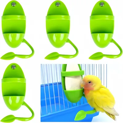 ZooVenture Lot Quatre Mangeoires En Os De Seiche Pour Oiseaux