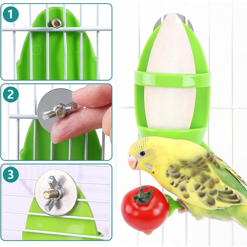 ZooVenture Lot Quatre Mangeoires En Os De Seiche Pour Oiseaux