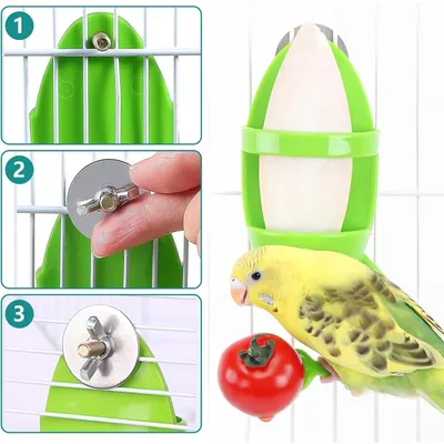 ZooVenture Lot Quatre Mangeoires En Os De Seiche Pour Oiseaux