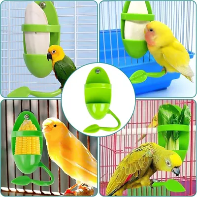 ZooVenture Lot Quatre Mangeoires En Os De Seiche Pour Oiseaux