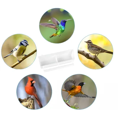FurryFusion Lot de 2 gamelles suspendues pour oiseaux