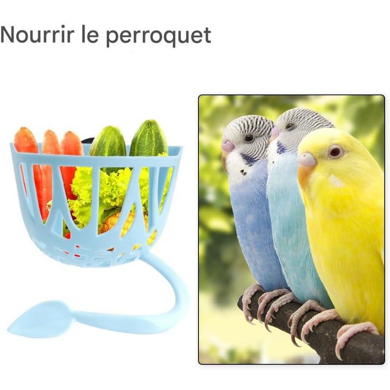 ZooVenture Ensemble De 2 Mangeoires Multiusages Pour Oiseaux
