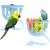 ZooVenture Ensemble De 2 Mangeoires Multiusages Pour Oiseaux