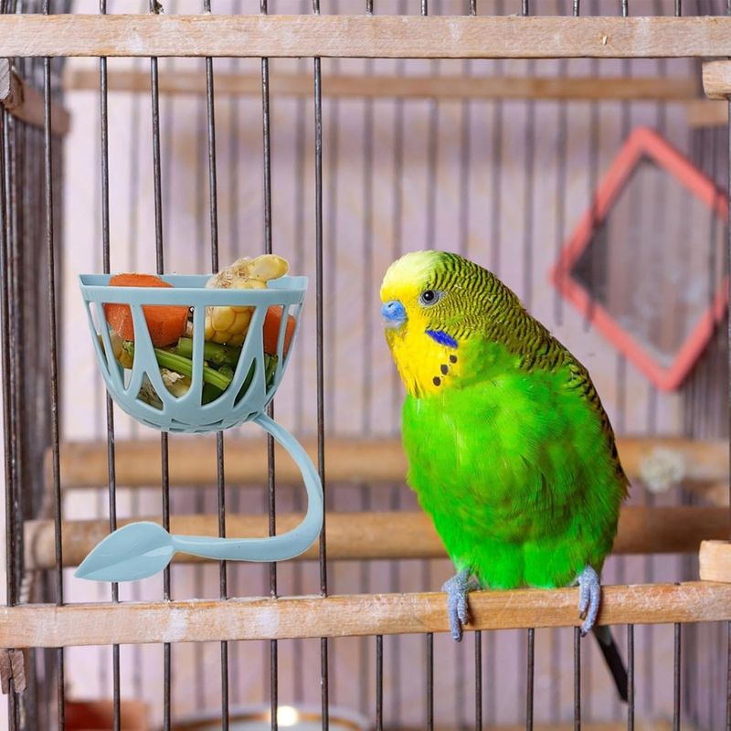 ZooVenture Ensemble De 2 Mangeoires Multiusages Pour Oiseaux