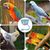 ZooVenture Ensemble De 2 Mangeoires Multiusages Pour Oiseaux