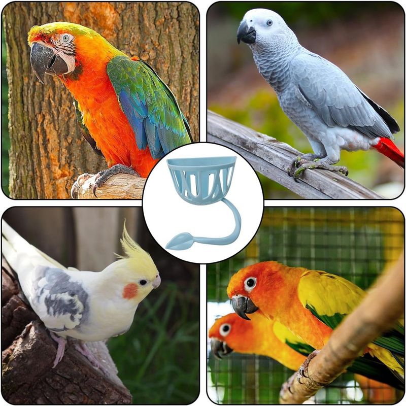 ZooVenture Ensemble De 2 Mangeoires Multiusages Pour Oiseaux