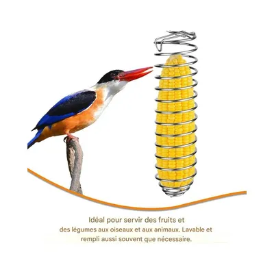 ZenPets Mangeoire suspendue pour perroquet