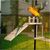 IntiMeg Plateforme d'habitation en bois pour cage d'oiseaux