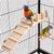IntiMeg Plateforme d'habitation en bois pour cage d'oiseaux