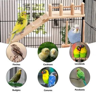 IntiMeg Plateforme d'habitation en bois pour cage d'oiseaux