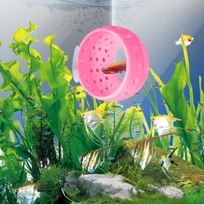ZenPets Fish Habitat Stand