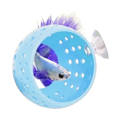 ZenPets Fish Habitat Stand