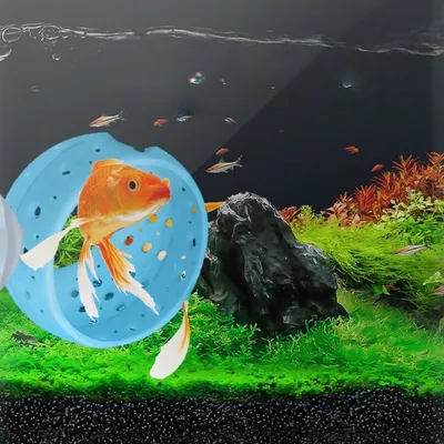ZenPets Fish Habitat Stand