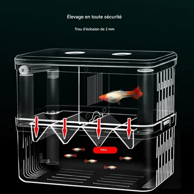 ZooVenture Boîte D'élevage Double Couche Pour Poissons Crevettes