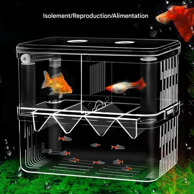 ZooVenture Boîte D'élevage Double Couche Pour Poissons Crevettes