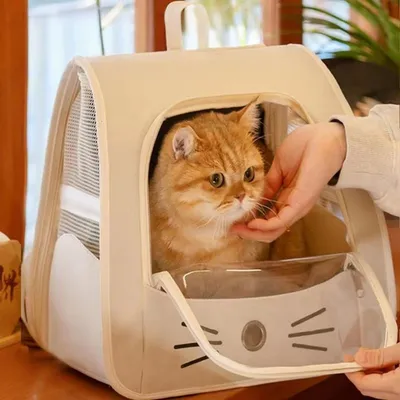 ZooVenture Sac à dos pour chat et chien