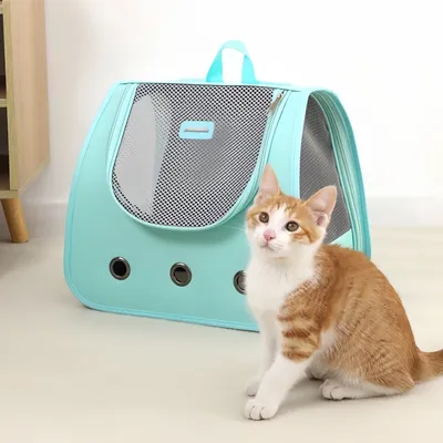 FurryFusion Sac à dos pliable pour chat