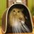 FurryFusion Sac de transport pour chien et chat