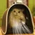 FurryFusion Sac de transport pour chien et chat FurryFusion Sac de transport pour chien et chat