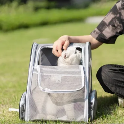 ZenPets Sac de voyage pour chat