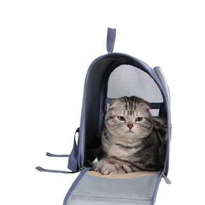ZooVenture Sac à dos pour chat et chien