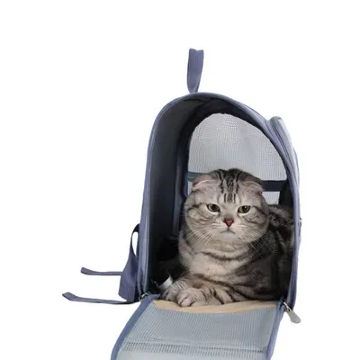 ZooVenture Sac à dos pour chat et chien