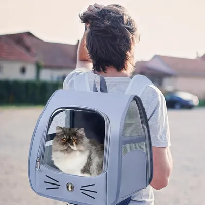 ZooVenture Sac à dos pour chat et chien