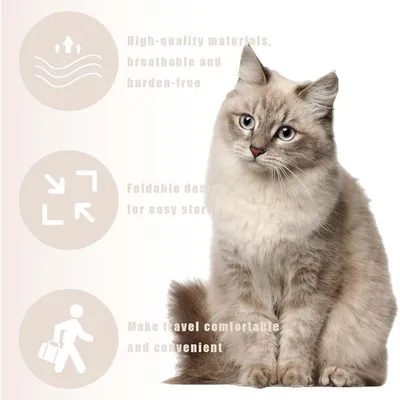 UAMLY Sac à dos pliable pour chat