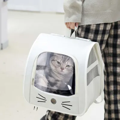 UAMLY Sac à dos pliable pour chat