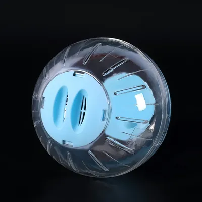 FurryFusion Balle de fitness transparente pour petits animaux