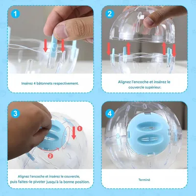 FurryFusion Balle de fitness transparente pour petits animaux