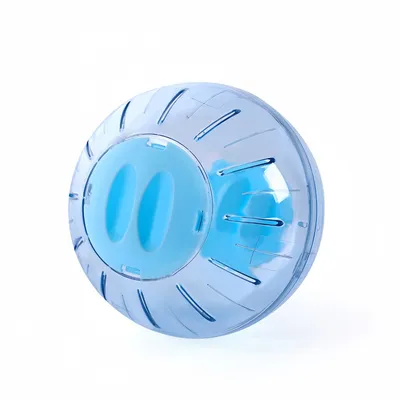 FurryFusion Balle de fitness transparente pour petits animaux