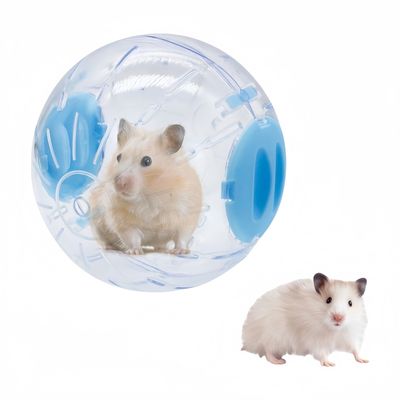FurryFusion Balle de fitness transparente pour petits animaux