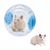 FurryFusion Balle de fitness transparente pour petits animaux