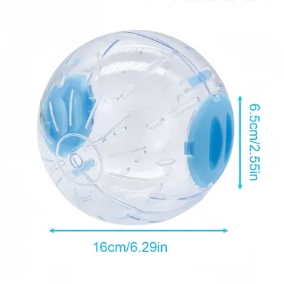 FurryFusion Balle de fitness transparente pour petits animaux