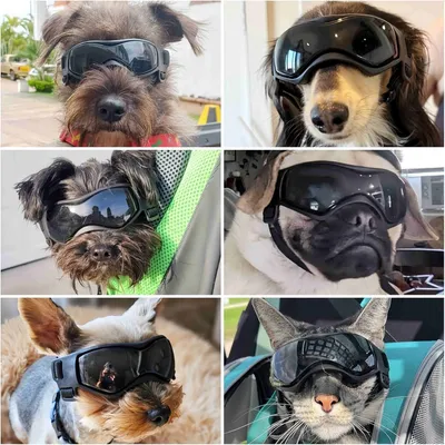FurryFusion Sonnenbrillen für Hunde FurryFusion Sonnenbrillen für Hunde