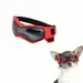FurryFusion Sonnenbrillen für Hunde