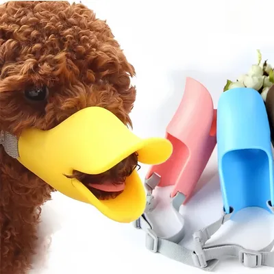 IntiMeg Muselière Bec de canard pour chien