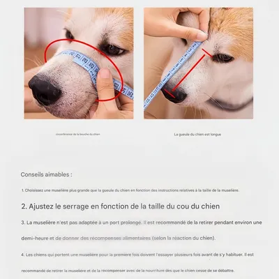FurryFusion Muselière pour chien en forme de rhinocéros