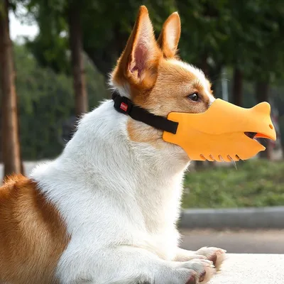 FurryFusion Muselière pour chien en forme de rhinocéros