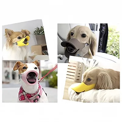 IntiMeg Muselière Bec de canard pour chien