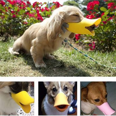 IntiMeg Muselière Bec de canard pour chien
