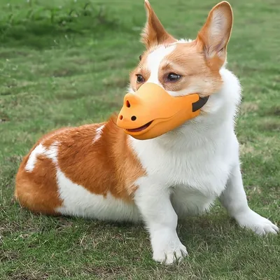 FurryFusion Muselière pour chien en forme de rhinocéros