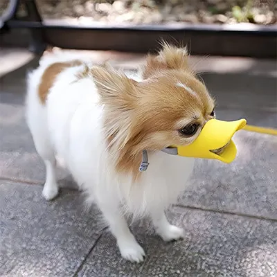 IntiMeg Muselière Bec de canard pour chien
