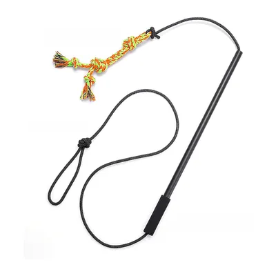 UAMLY Bâton de dressage interactif pour chien