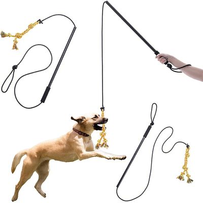 UAMLY Bâton de dressage interactif pour chien