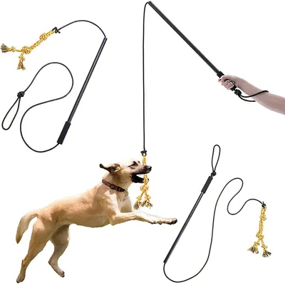 UAMLY Palo interactivo de entrenamiento para perros