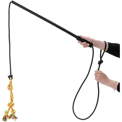 UAMLY Bâton de dressage interactif pour chien